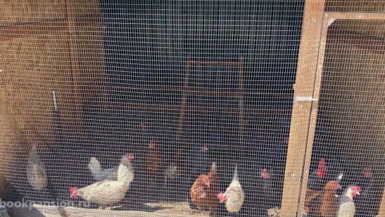 Частный пансионат село Солянка (Астрахань) фото