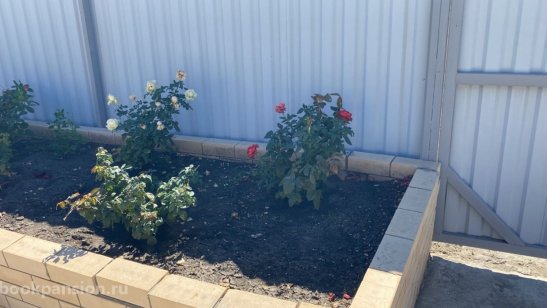 Частный пансионат село Солянка (Астрахань) фото 3